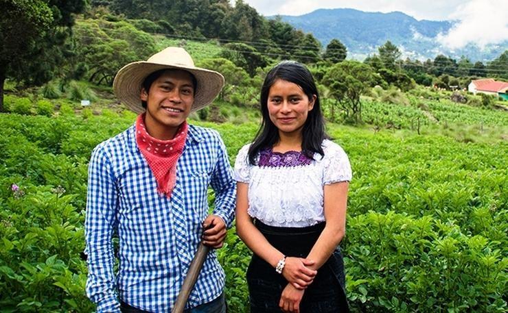 Guatemala: Gemeindegeführte Waldbewirtschaftung