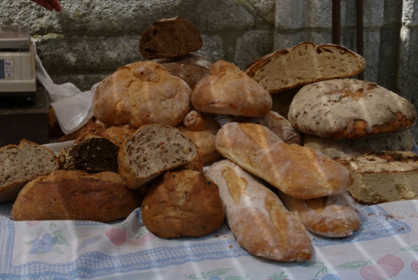 Brot des Lebens (18. So. i. J. – Joh 6, 24-35)