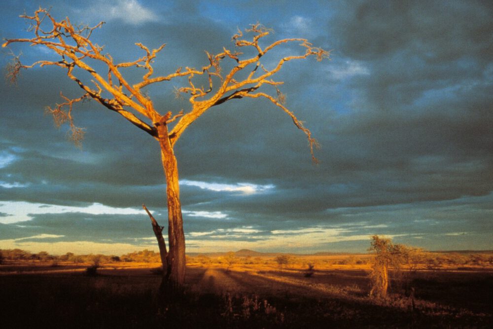 Schwarzmaler (33. So. i. J. – Lk 21, 5–19)